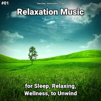 Relaxation Music Pt. 41 - Deep Sleep & Relaxing music & Yoga
