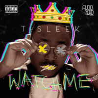 1 Nite Stand - T Sleek & Sean Tizzle