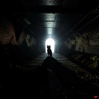 Memory Cloud - Insomnia 9 & SebaLazi