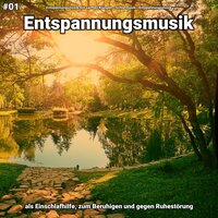 Entspannungsmusik pt. 83 - Entspannungsmusik mit sanften Klängen & Schlafmusik & Entspannungsmusik