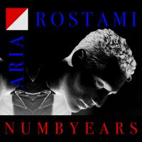 Because I Saw Wilted Limp Years - Aria Rostami