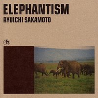 Great Africa - Ryuichi Sakamoto