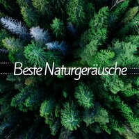 Natürliche Strömung - Gewitter Naturgeräusche Entspannungsmusik
