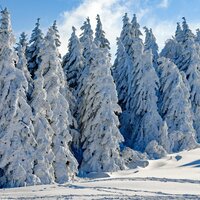 Hoopla Holidays - Musique de Noel Academie, best christmas songs, xmas songs & Best Christmas Songs & xmas songs & Musique de Noel Academie