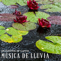 Lluvia Nocturna De Chicago - Cascada de Lluvia & Sonidos De Lluvia y Tormentas & Relajante Musica