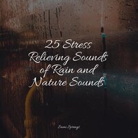Shelter Rains - Kundalini: Yoga & Nature's Symphony & Active Baby Music Workshop