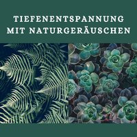 Yoga Übungen - Tiefenentspannung Atmospheres