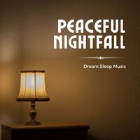 Sleep Aid - Dream Sleep Music