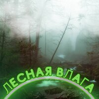 Дождь и костёр - Музыка для дождливого дня на природе