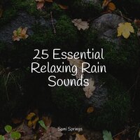 Easy Droplets - Thunder and Rain Storm & Nature Soundscape & Ambient Arena