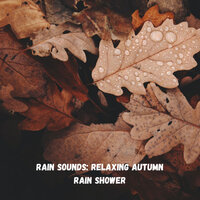 Rain Noise - Weather and Nature Recordings & Nature Vibrations & Calm music