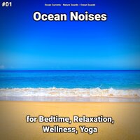 Ocean Noises Pt. 77 - Ocean Currents & Nature Sounds & Ocean Sounds