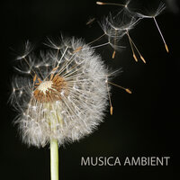 Background Music - Musica Ambient Orchestra