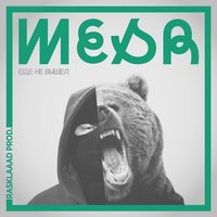 Ещё не вышел - Mesr