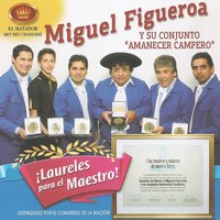 Canta Gallito - Luis Torres & Miguel Figueroa y su Conjunto "Amanecer Campero"