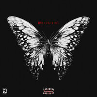 Вишня - exoaither