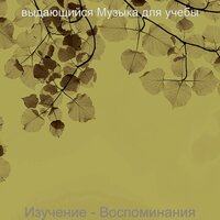 Видения (Концентрация) - выдающийся Музыка для учебы