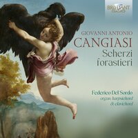 Scherzi forastieri, Op. 8: IV. La marina (2). Canzon quarta - Federico Del Sordo