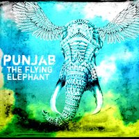Hairy Woman - Punjab