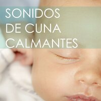 Estoy Contigo - Estrella Cuna