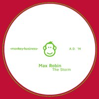 The Storm - Max Robin