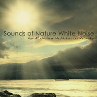 Nature Music (Soothing Rain) - Music for Deep Relaxation Meditation Academy