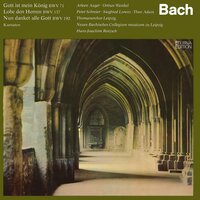 VI. "Du wolltest dem Feinde nicht geben" - Neues Bachisches Collegium Musicum & Thomanerchor Leipzig & Hans-Joachim Rotzsch & Johann Sebastian Bach