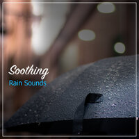 Rain Sounds - Spa - Lluvia, Sonidos de la Naturaleza Relax, & Lluvia & Sonidos de la Naturaleza Relax