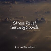 Fantasy Island - Yoga Workout Music & Entspannungsmusik & Meditation Relaxation Club
