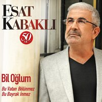 Çanakkale Bugün Toz ile Duman - Esat Kabaklı