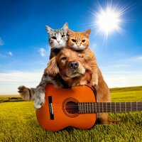 Pawful Peace Guitar - The Jazz Guitar Friends & Pets at Night & Peaceful Pet Lullabies