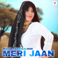 Mt Lewe Luchcha - Wasim Akram Alwar & Farhan Khan Alwar