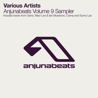 On Our Own - Maor Levi & Ilan Bluestone