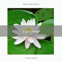Clear Waves of Deep Sleep with Nature Music pt. 2 - Relaxing Asian Spa Music