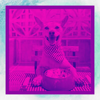 Simple Doggy Stress - Music for Dogs Peace