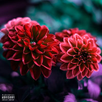 How You Like It - Drai Thomas