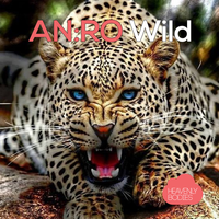 Wild - AN:RO & Javier Penna