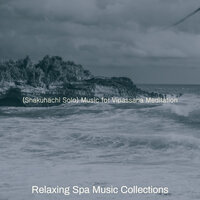 Magnificent Moods for Vipassana - Relaxing Spa Music Collections