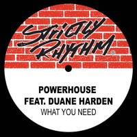 What You Need - Powerhouse & Duane Harden & Richard F