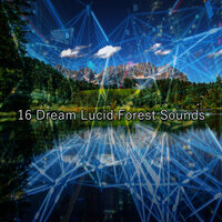 Through The Fields - Mother Nature Sound FX