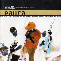 Level of Maturity - PAURA