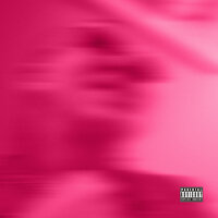 P1NK5LP4V3R - PRESCO LUCCI