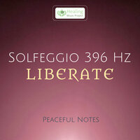 Step 12 - Peaceful Notes