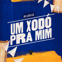 Um Xodó pra Mim - Dj Leo Lg