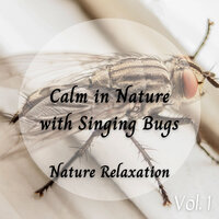 Locust Sound - Sleep Sounds Of Nature & Study & Cricket Sounds