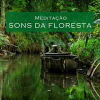 Meditação: Sons da Floresta, Pt. 03 - Meditação Música Ambiente