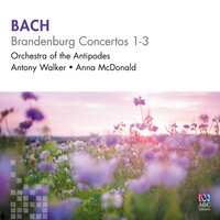 Brandenburg Concerto No. 1 in F Major BWV 1046: III. Allegro - Johann Sebastian Bach & Orchestra of the Antipodes
