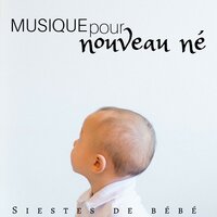 Sons de la nature - Sommeil Musique Prime