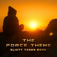 The Force Theme - Eliott Tordo Erhu