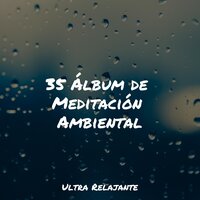 Relajación en Cascada - Cancion de Cuna & Sons da Natureza Relax & Música De Relajación Para Dormir Profundamente